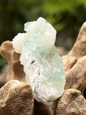 Green Apophyllite Rare Cluster
