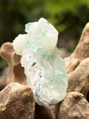 Green apophyllite rare cluster - green,
