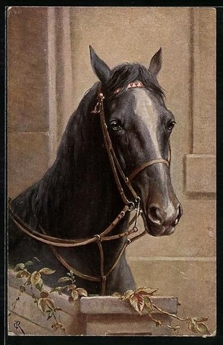 Artist carl reichert black - carl,