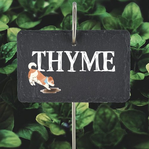 Thyme herb garden marker - herb,