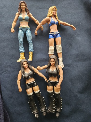 Wwe diva bundle mickie james - diva,
