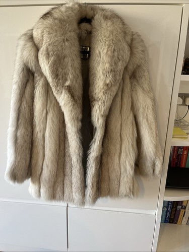 Saga arctic fox - fox, uk