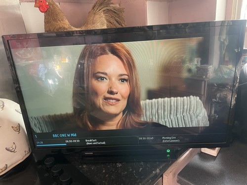 Toshiba lcd lightweight - 32",