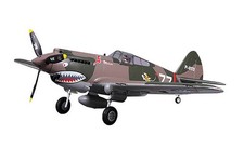 FMS P-40B Warhawk Flying Tiger