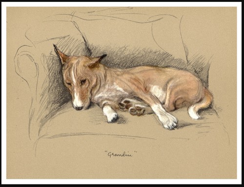 Basenji dog art - print, poster