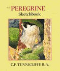The peregrine sketchbook - the,