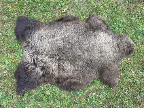Nice new real rare breed - nice,