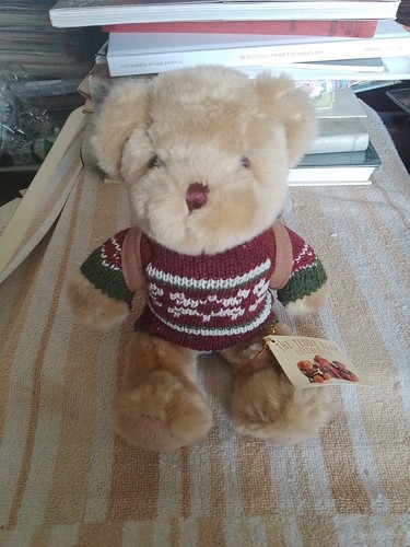 Henry the hiker teddy bear - henry, .