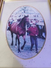 Original Photo of Race Horse