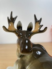 Lomonosov Moose or Elk