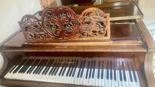 Bluthner grand piano ornate - grand,