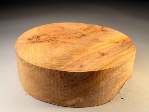 Amazing large burr - amazing,