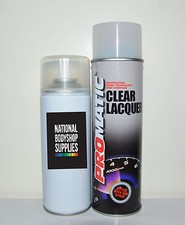 CAR AEROSOL SPRAY PAINT KIT