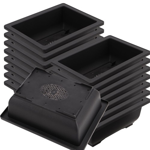 Pcs inch bonsai - pcs,