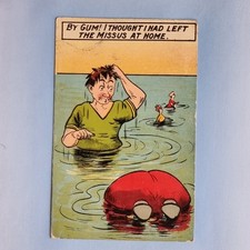 Comic Postcard 1910 Fat Lady
