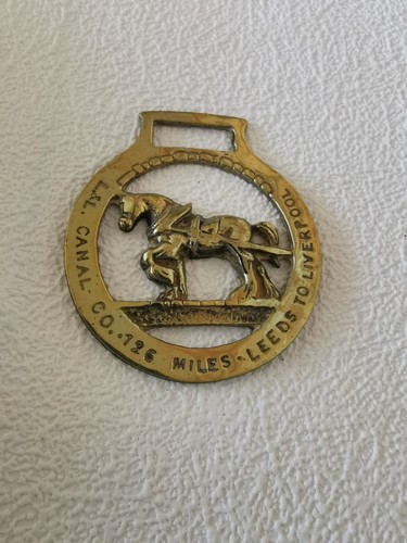 Vintage shire horse bridle - vintage,