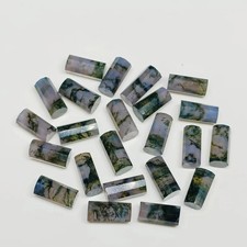 [WHOLESALE]  NATURAL MOSS