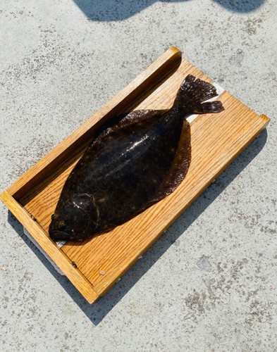 Fish measuring board fluke - fish,