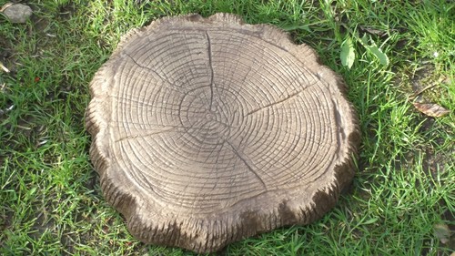 Log stepping stones 10 - log,
