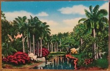 Vintage Cuba Postcard HAVANA