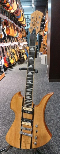 Rich mockingbird exotic - rich,