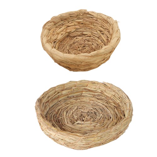 Pigeon breeding nest bird - breeding,