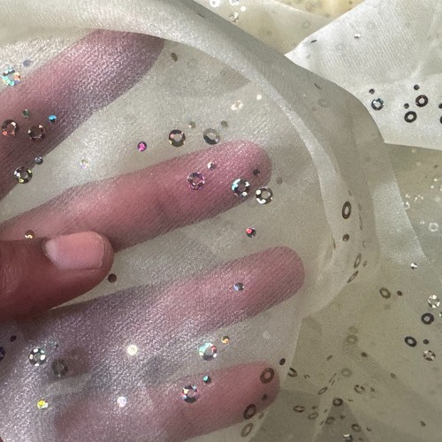 Hologram sequin organza fabric - sequin,