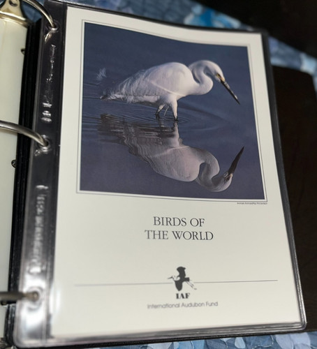 Iaf audubon birds of - ,