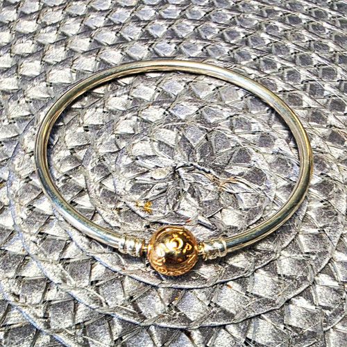 Pandora moments sterling - pandora,