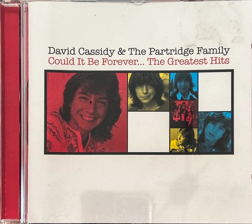 David cassidy partridge - david, &
