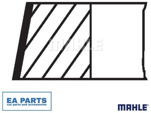Piston ring kit - piston, beetle
