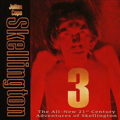 Julian cope skellington 3 cd - 3,