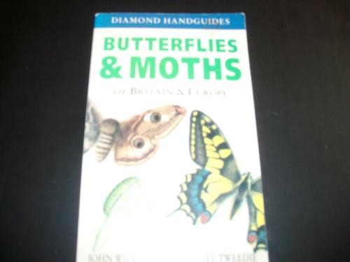 Butterflies and moths - butterflies,