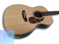 RECORDING KING Acoustic Guitar