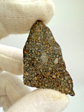 NWA 17756 LL3.3 Meteorite 8.7 gram full slice with abundant & packed chondrules
