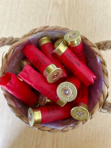 Spent shotgun cartridge cases - spent,