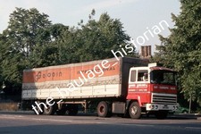 THH Truck Photos - Ford