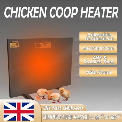 Chicken coop heater safe - chicken,