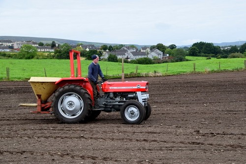 Photo 6x4 sowing grass seed - grass,