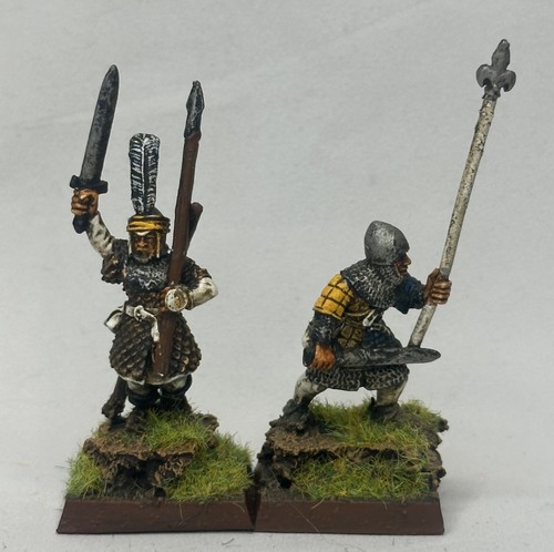 Bretonnian men arm - at,