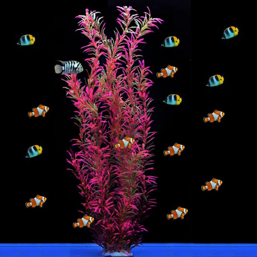Large aquarium plants - aquarium,