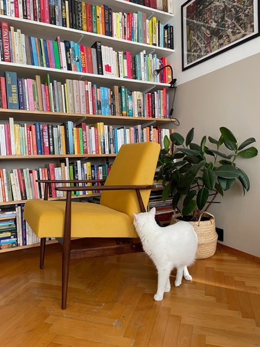Mid century yellow velvet - yellow,