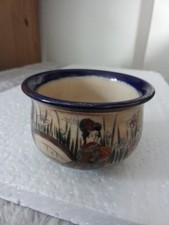 Japenese Mini Satsuma