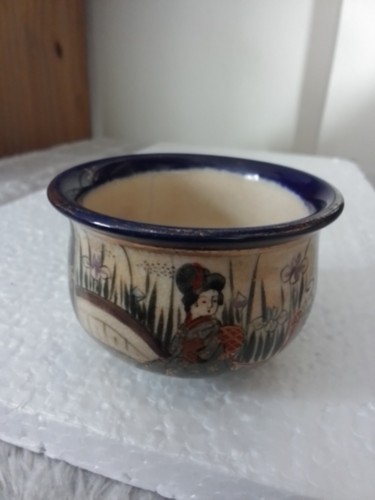 Japenese mini satsuma - mini,