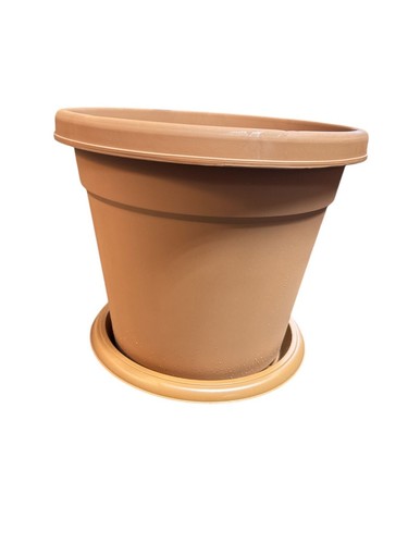 Large flower pot and - flower,