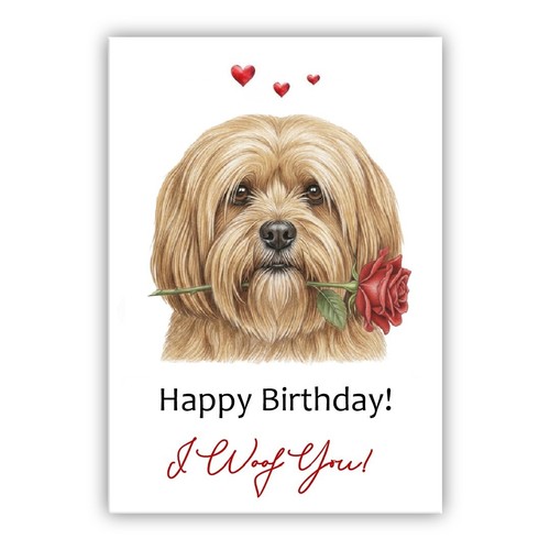 Lhasa apso dog - dog, card