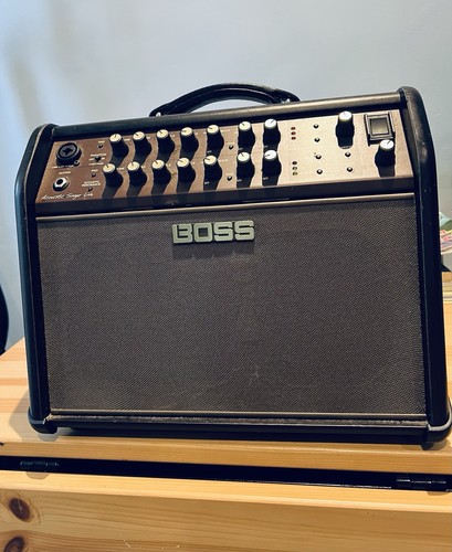 Boss acoustic singer live - singer,