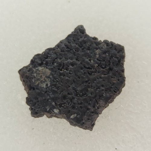 Hadrosaur egg shell fossil - egg,