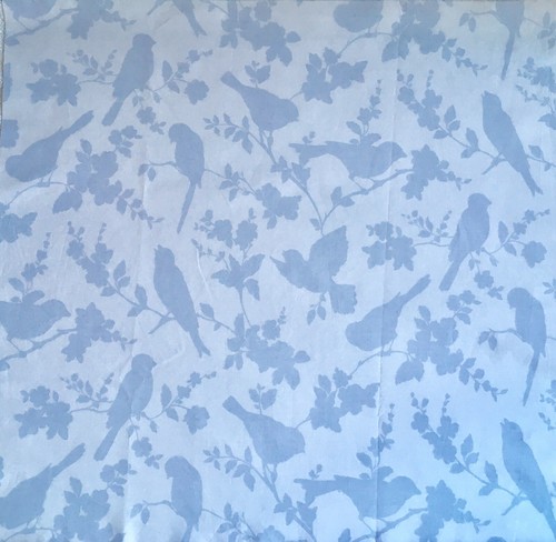 50cm square british - british, birds