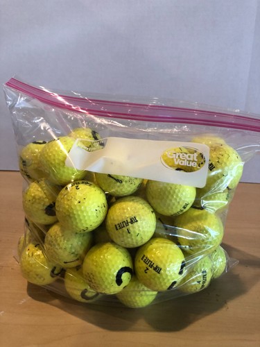 Gallon bag lot yellow - of,